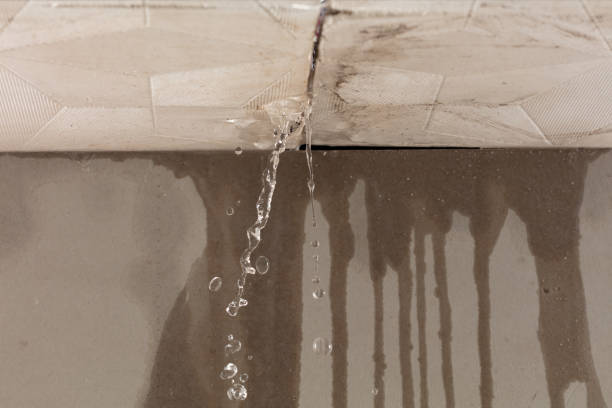 Professional Structural Drying technician working in Kemp, TX